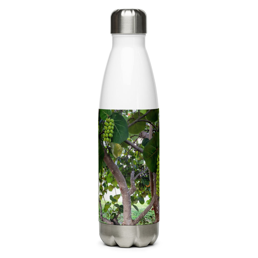 Seagrape Stainless Steel Water Bottle